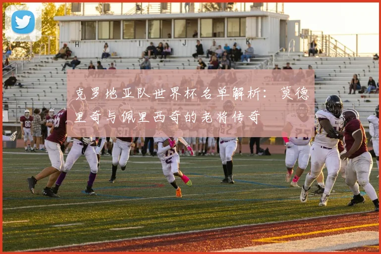 克罗地亚队世界杯名单解析:莫德里奇与佩里西奇的老将传奇