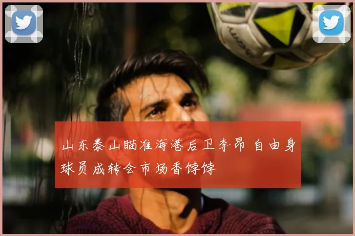 山东泰山瞄准海港后卫李昂 自由身球员成转会市场香饽饽